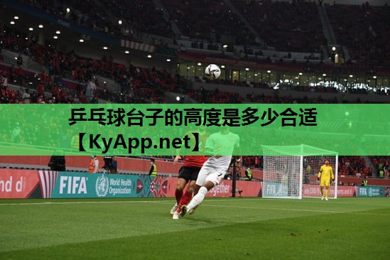 乒乓球台子的高度是多少合适