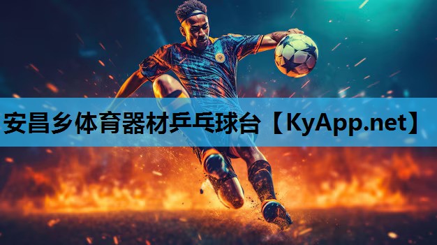 安昌乡体育器材乒乓球台