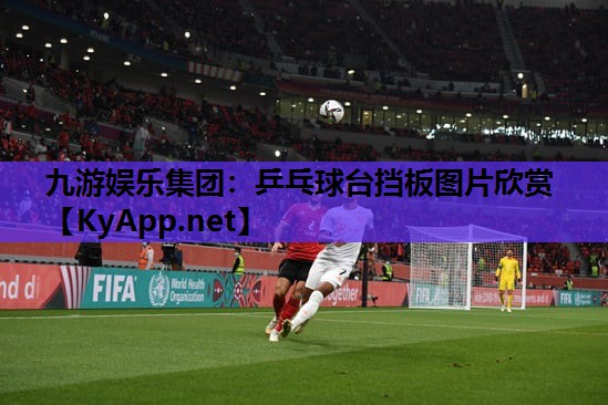 九游娱乐集团：乒乓球台挡板图片欣赏
