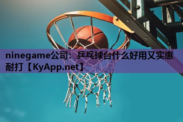 ninegame公司：乒乓球台什么好用又实惠耐打