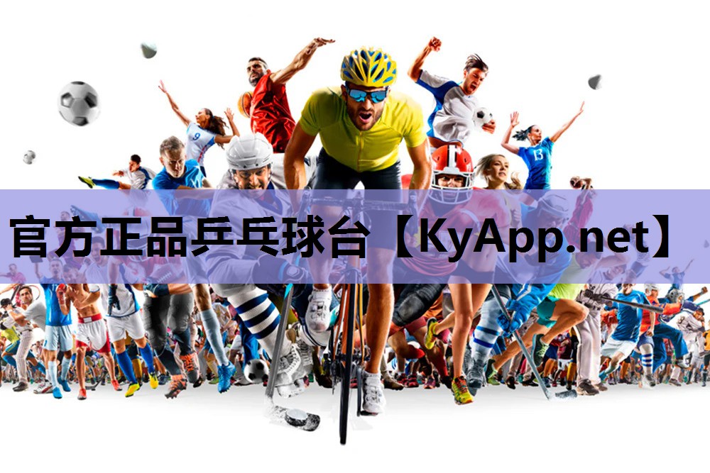 官方正品乒乓球台