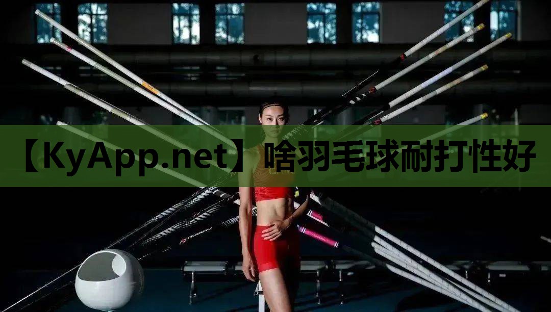 啥羽毛球耐打性好