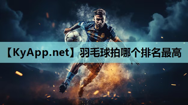 羽毛球拍哪个排名最高