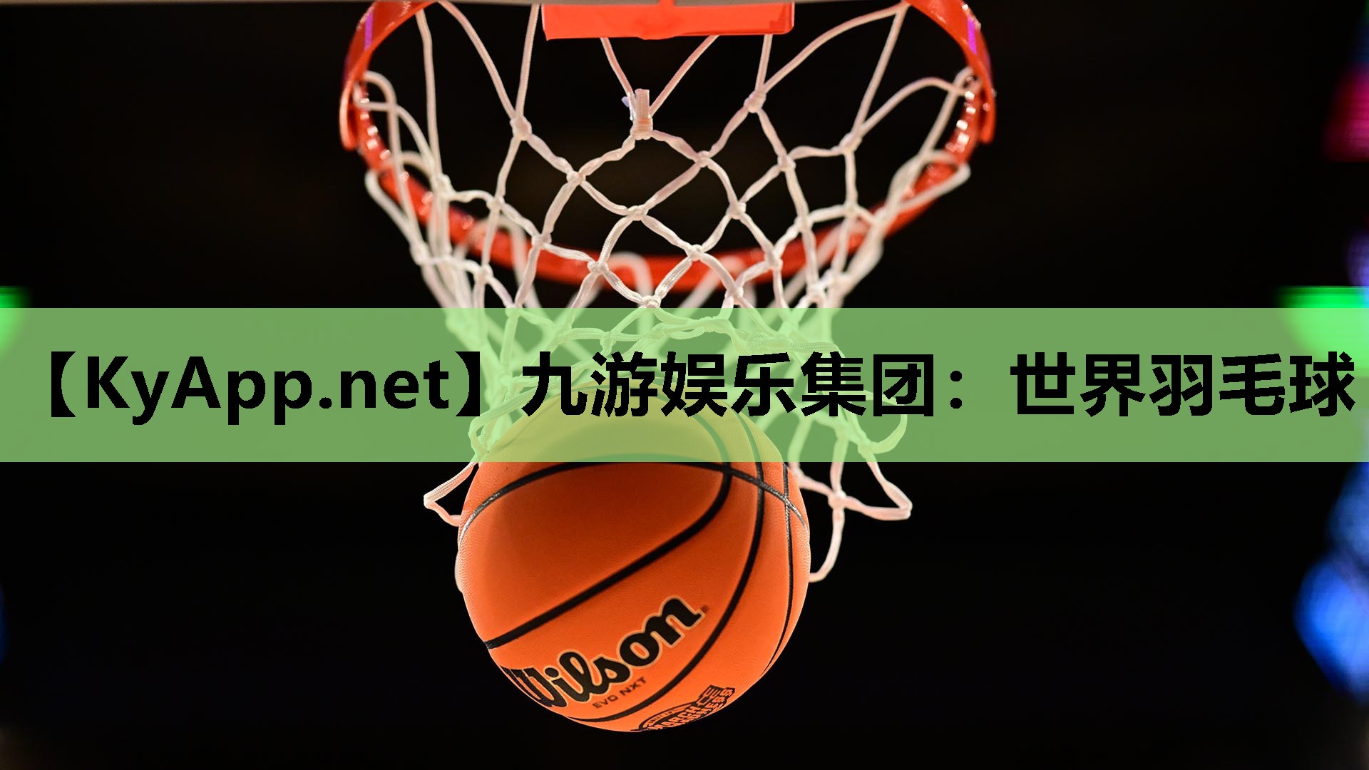 <strong>九游娱乐集团：世界羽毛球</strong>