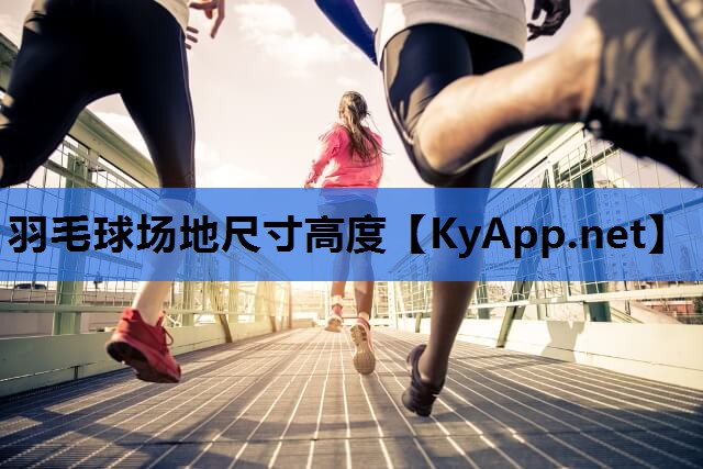 羽毛球场地尺寸高度 羽毛球场地尺寸高度