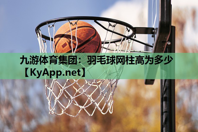 羽毛球网柱高为多少 羽毛球网柱高为多少