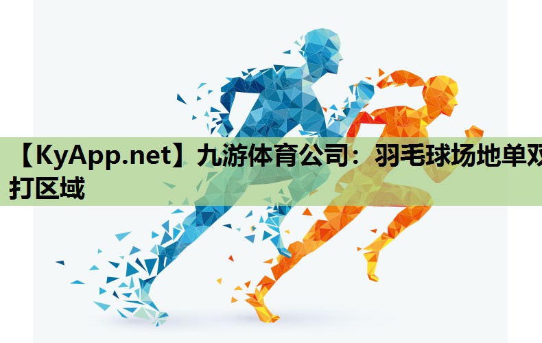 羽毛球场地单双打区域 羽毛球场地单双打区域