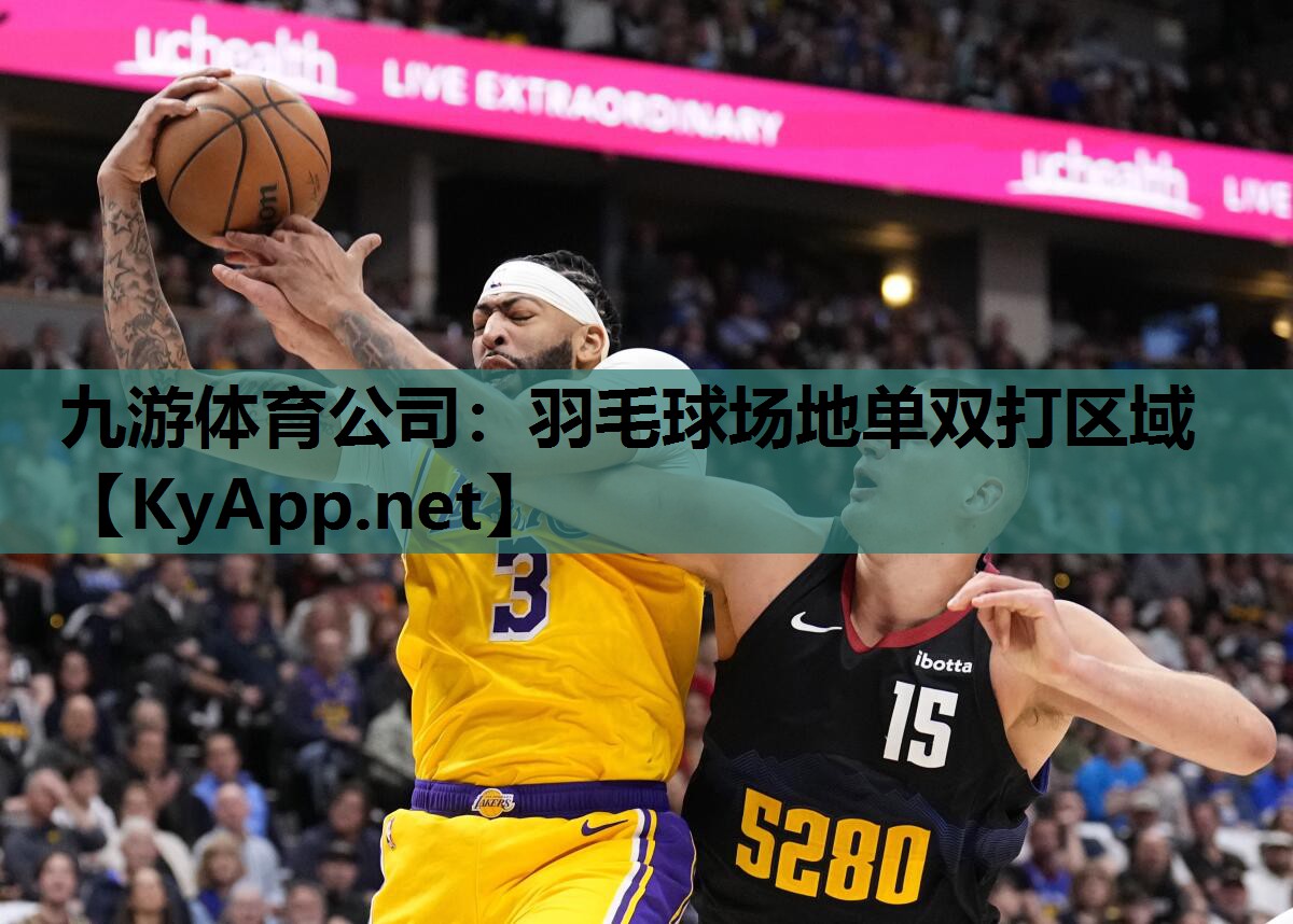 羽毛球场地单双打区域 羽毛球场地单双打区域
