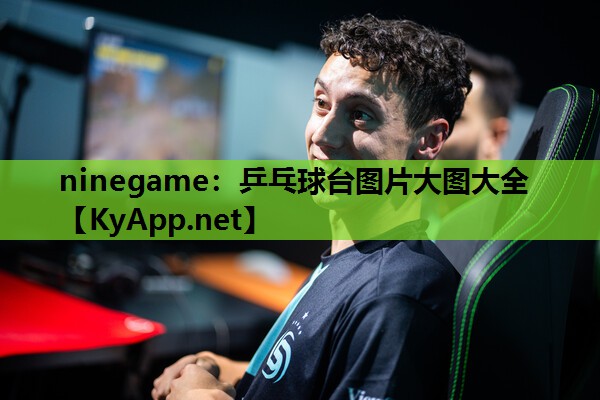 乒乓球台图片大图大全 乒乓球台图片大图大全