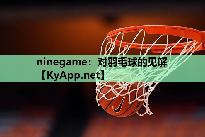 对羽毛球的见解 对羽毛球的见解