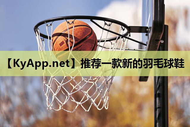 推荐一款新的羽毛球鞋