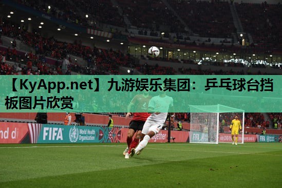 乒乓球台挡板图片欣赏