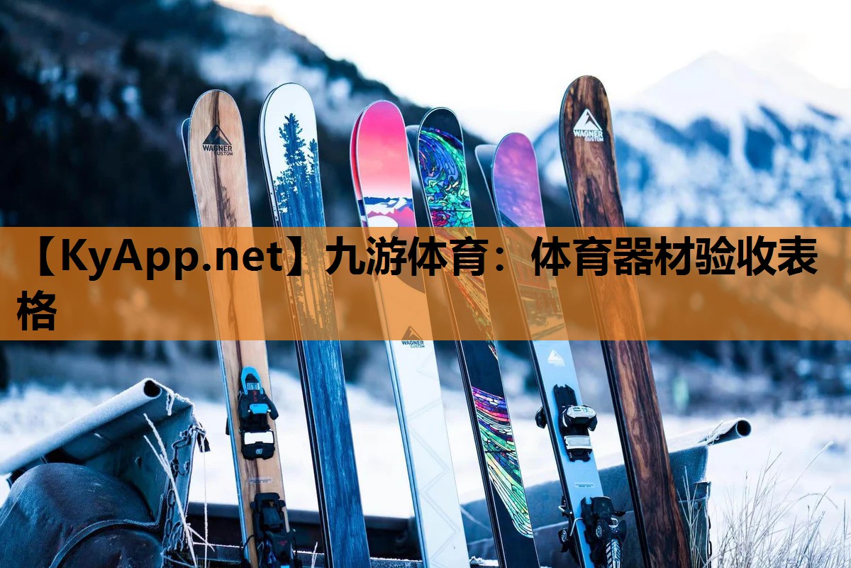 体育器材验收表格 体育器材验收表格
