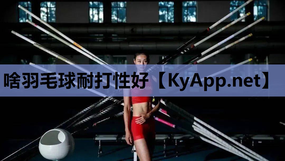 啥羽毛球耐打性好 啥羽毛球耐打性好