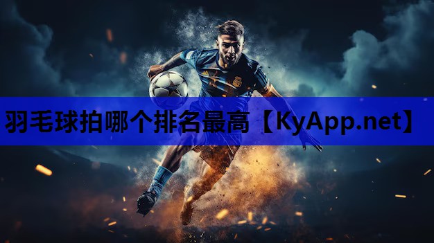 羽毛球拍哪个排名最高 羽毛球拍哪个排名最高
