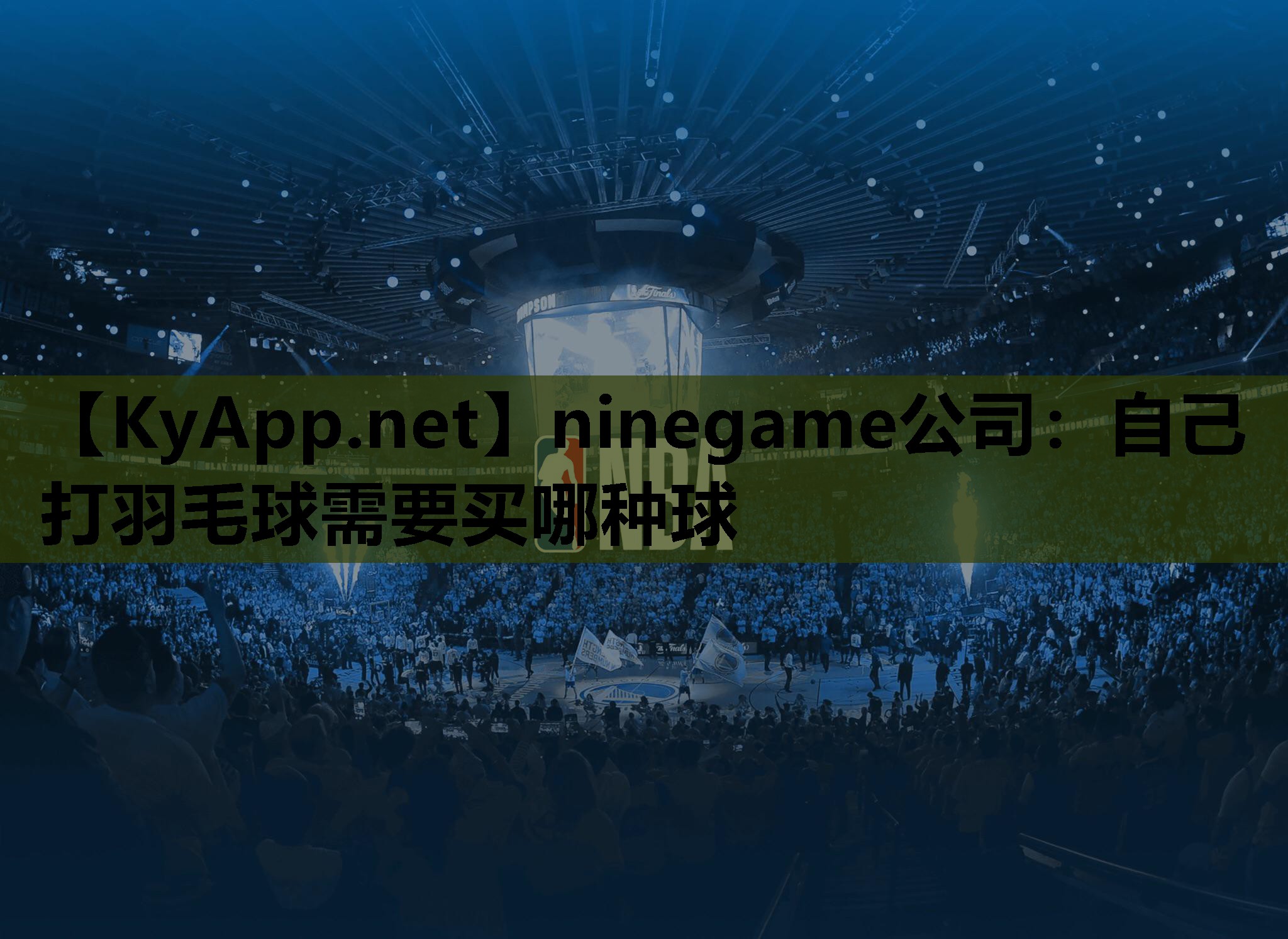 自己打羽毛球需要买哪种球 自己打羽毛球需要买哪种球