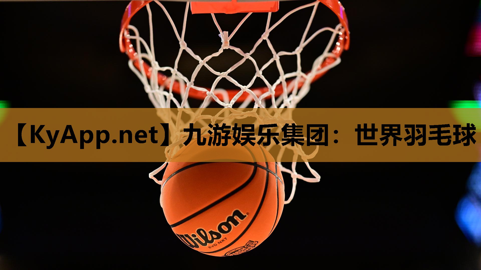 世界羽毛球